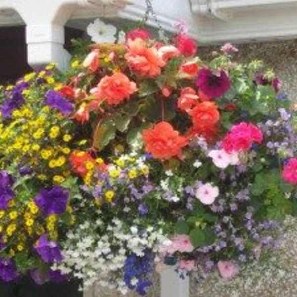 Large mixed flower arrangement in a white planter with bright pink, orange, purple, and yellow blooms