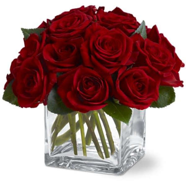 Dozen Rose Contempo (TF)