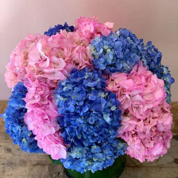 Pink and blue hydrangea bouquet in a green vase