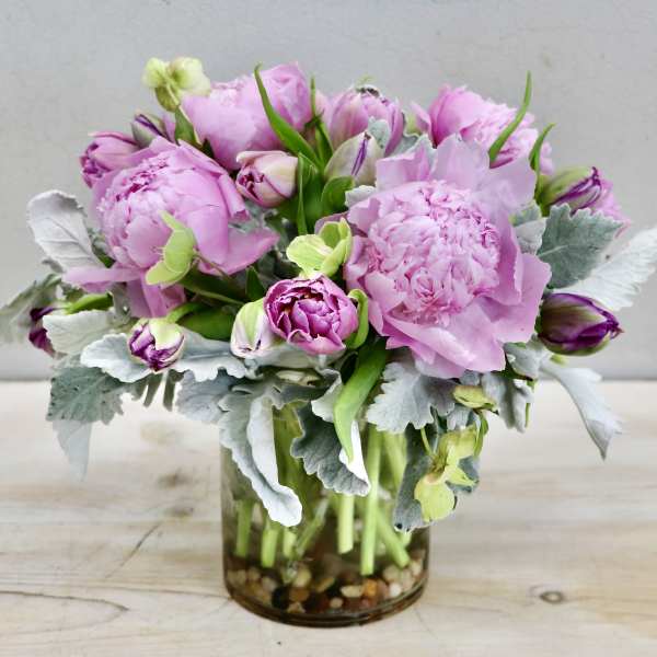 Peony & Tulip - Glendale Flowers