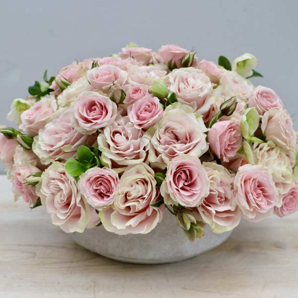 Low arrangement of pale pink roses densely packed in a round white bowl