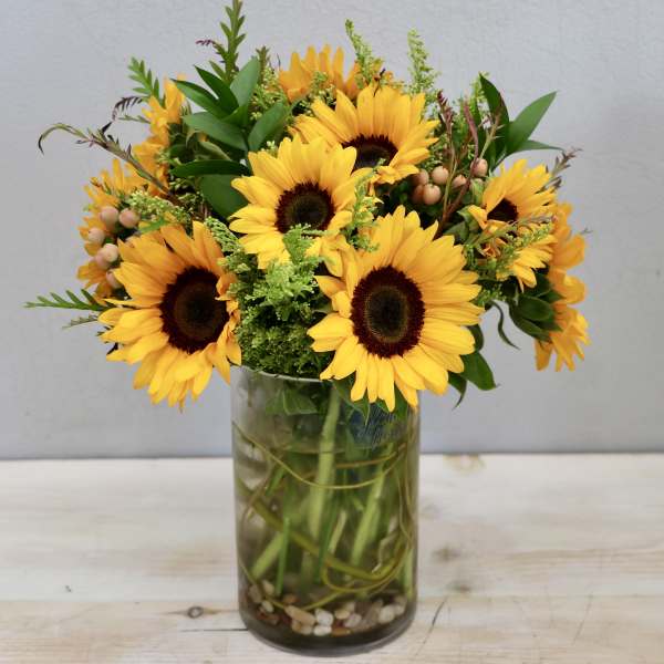 Sunflowers Glee - Glendale Flowers