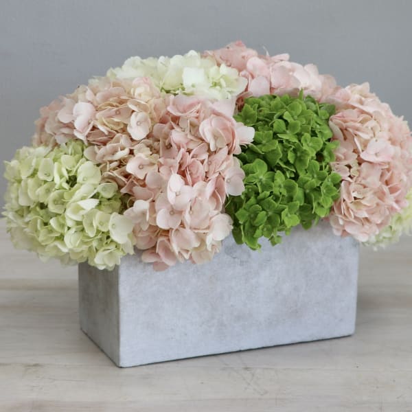 Low arrangement of pink, white, and green hydrangeas in a rectangular gray container