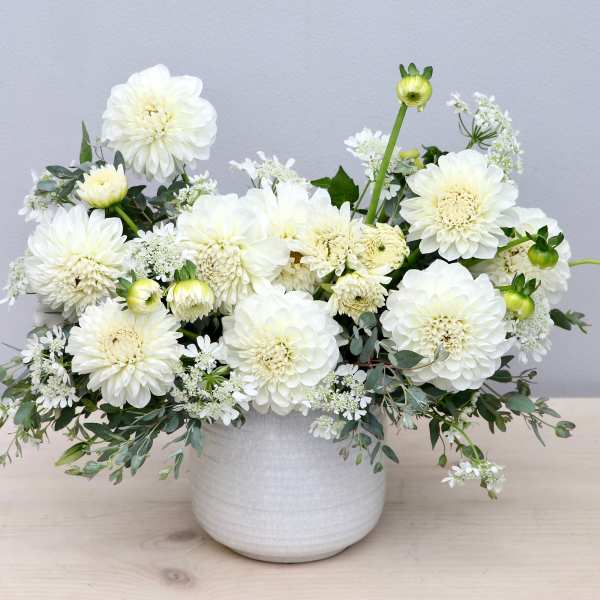 Low white arrangement of dahlias and mums in a white ceramic pot