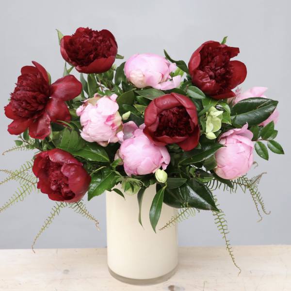 Arrangement of red and pink peonies in a tall cream vase
