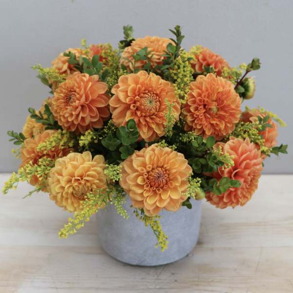 Low arrangement of orange dahlias with yellow accents in a gray ceramic pot