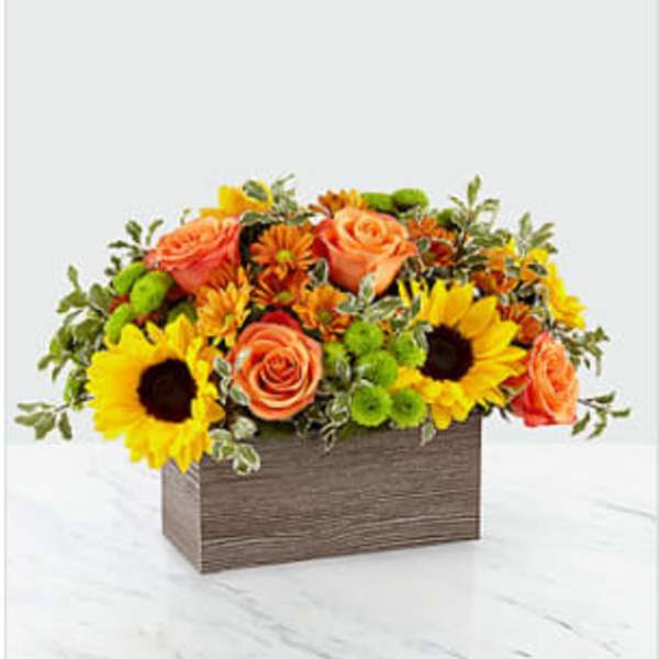 FTD Happy Harvest Garden
