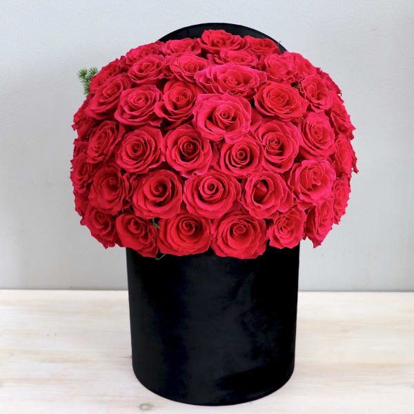 Tight dome of bright pink roses arranged in a tall black cylindrical box.