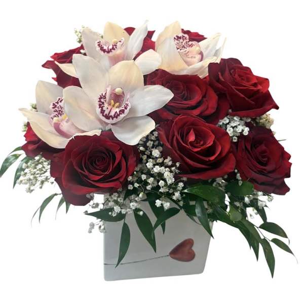 Timeless Signature Romance