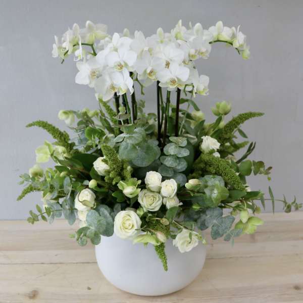 White orchids and roses arranged in a white vase