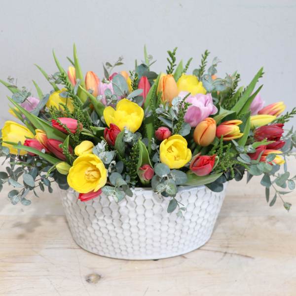 Tulip Gala - Glendale Flowers
