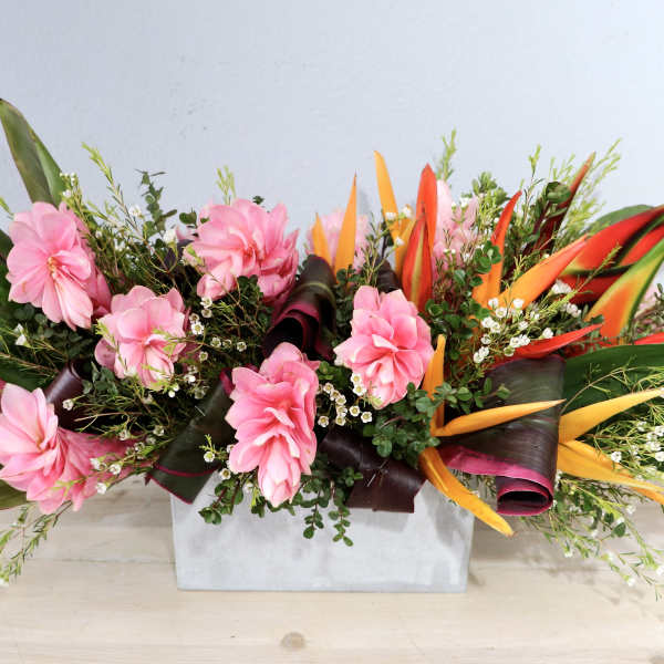 Ginger Tropics - Glendale Flowers