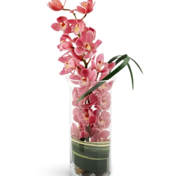 Pink orchid stems in a clear glass vase