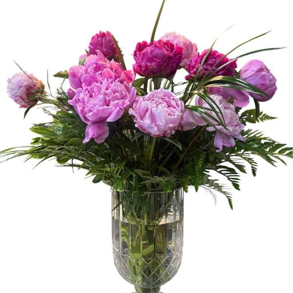 My Lush Peonies