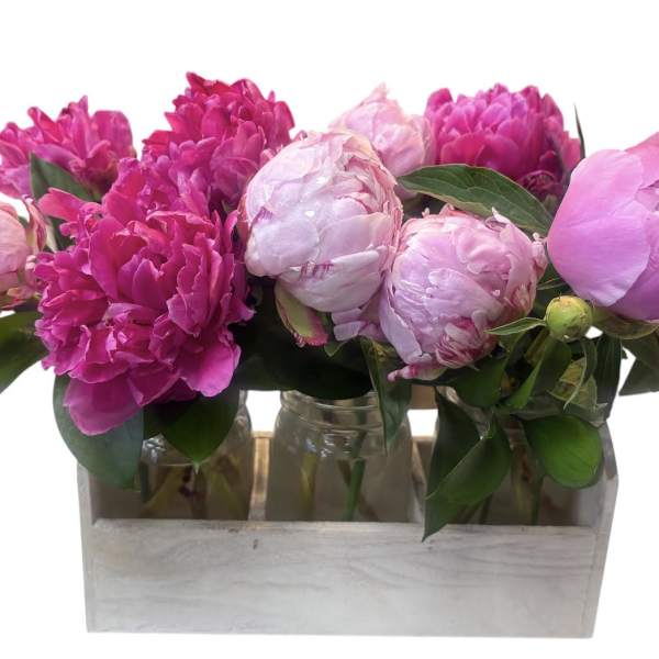 Bundle of Peonies