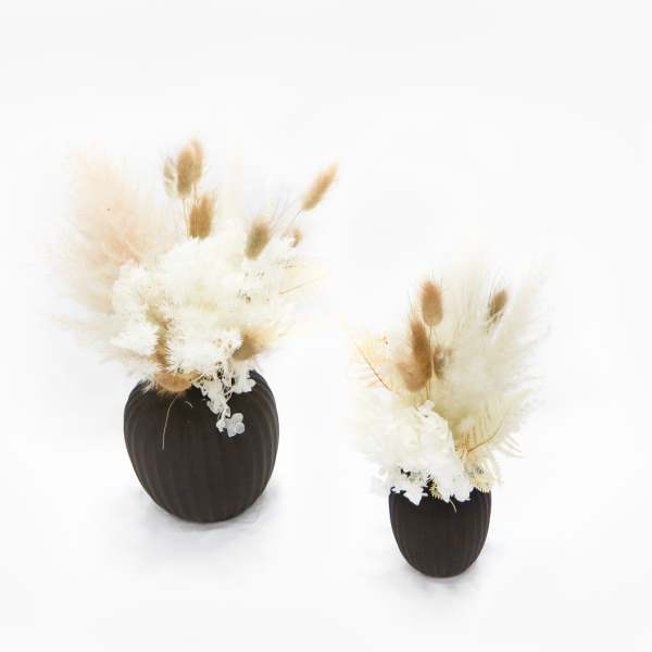 Two dried floral arrangements in dark vases on a white background