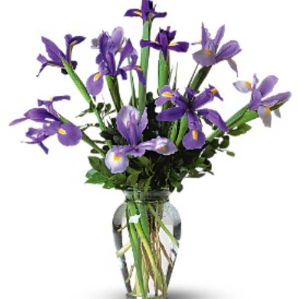 Purple iris bouquet in a clear glass vase