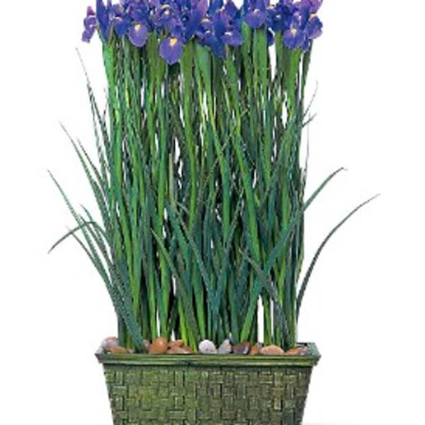 Tall potted arrangement of purple iris flowers in a woven planter