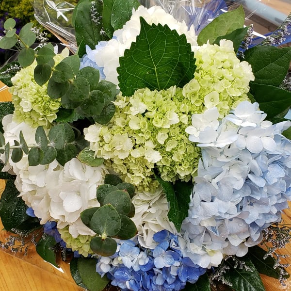 Bouquet of blue, white, and green hydrangeas with eucalyptus