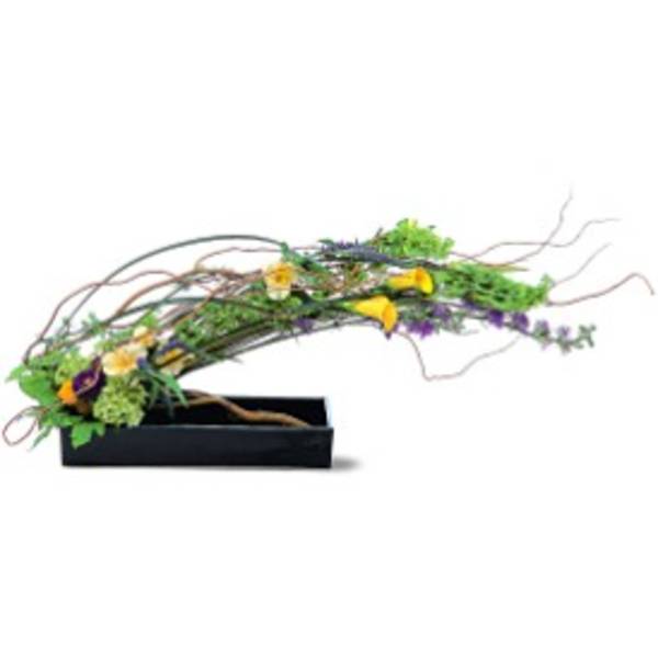 Long, low arrangement of yellow calla lilies and mixed blooms in a black rectangular container