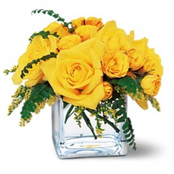 Yellow roses arranged in a clear square vase