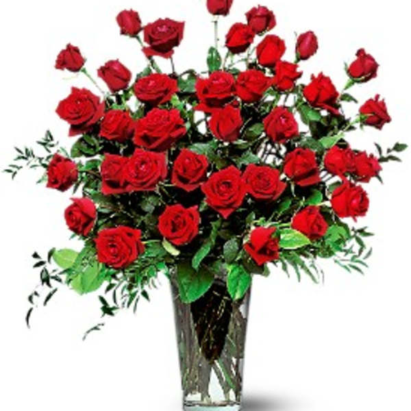 Red roses arranged in a clear glass vase