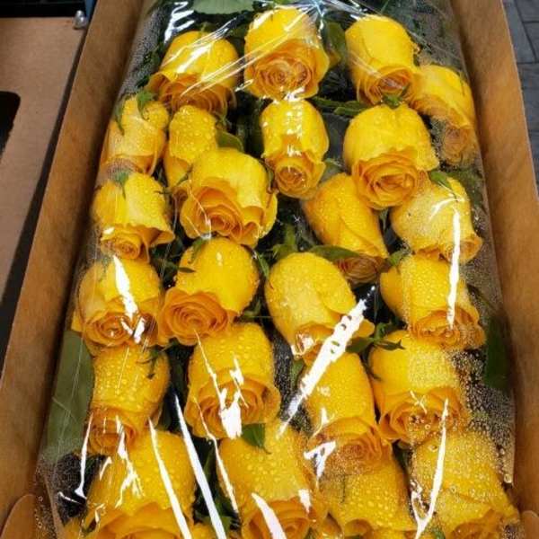 Long box filled with rows of yellow rose stems wrapped in clear plastic with water droplets.
