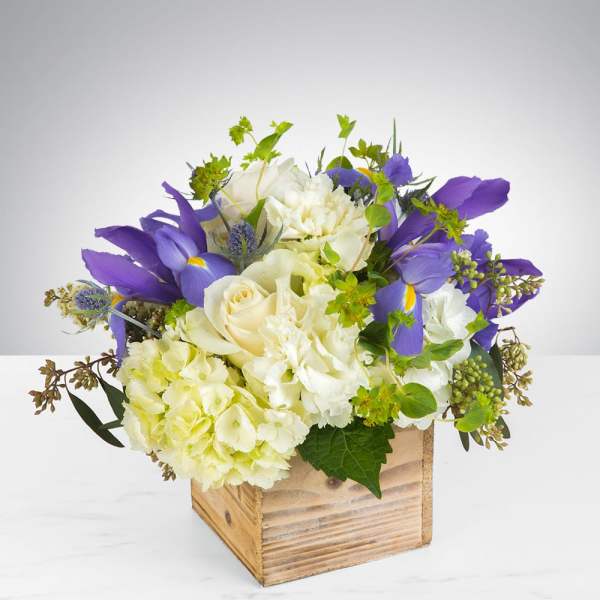 Low arrangement of cream roses, white hydrangeas, and purple irises in a wooden box