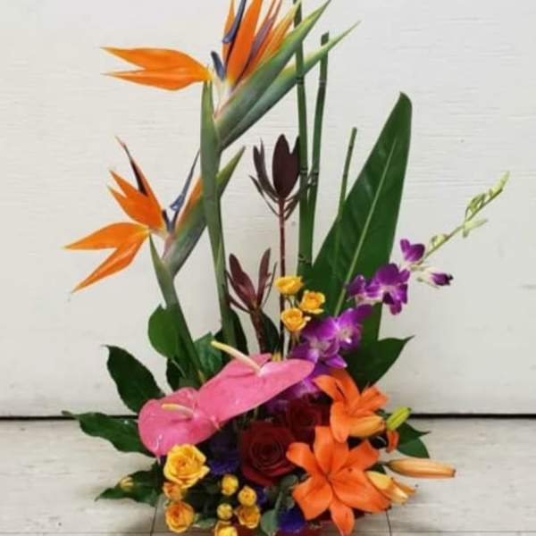 Tropical flower arrangement with orange bird-of-paradise and orchids