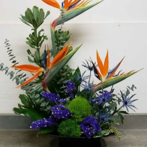 Tall tropical arrangement with orange bird of paradise and purple and green accent flowers in a low container