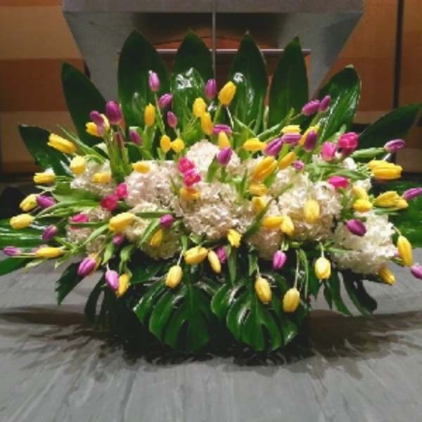 Low centerpiece of yellow and purple tulips with white hydrangeas and large dark green tropical leaves.