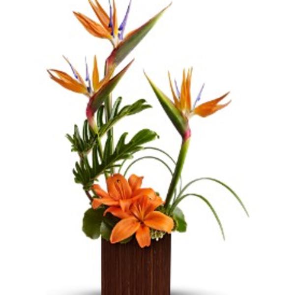 Modern tropical arrangement with orange birds of paradise and lilies in a brown cube vase