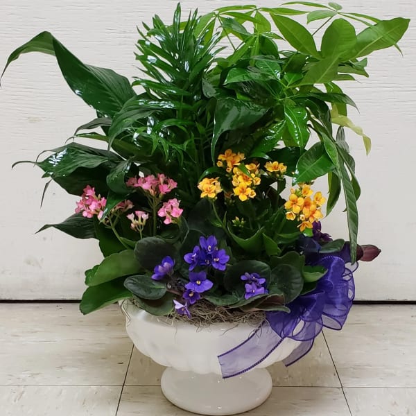 Mixed potted flowering plant arrangement in a white pedestal bowl