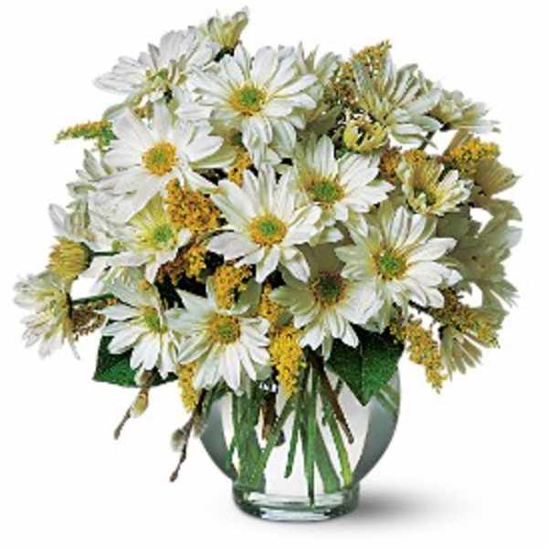 White daisy bouquet in a clear glass vase