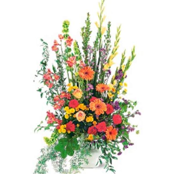 Tall mixed arrangement of bright orange, red, yellow, and purple flowers in a white container