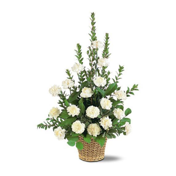 Tall basket arrangement of white carnations with lush foliage