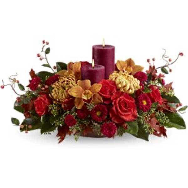 Warm and Wonderous