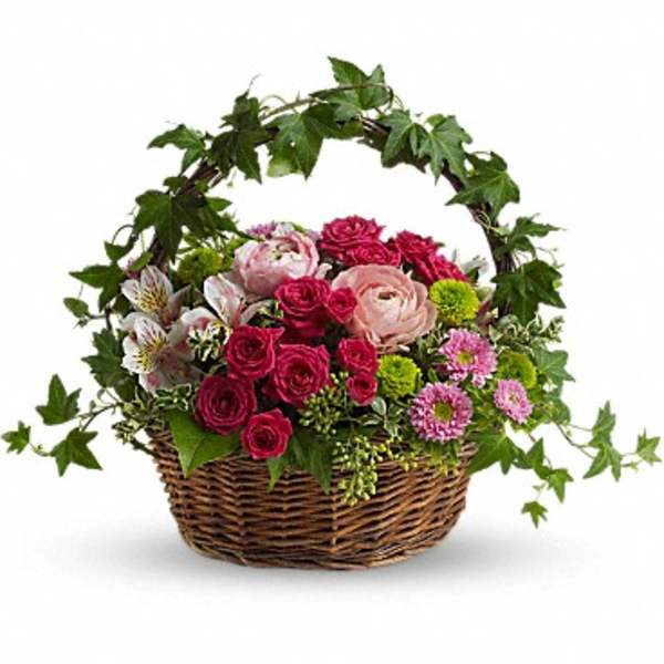 Basket arrangement of pink roses, mums, white alstroemeria and an arching ivy handle.