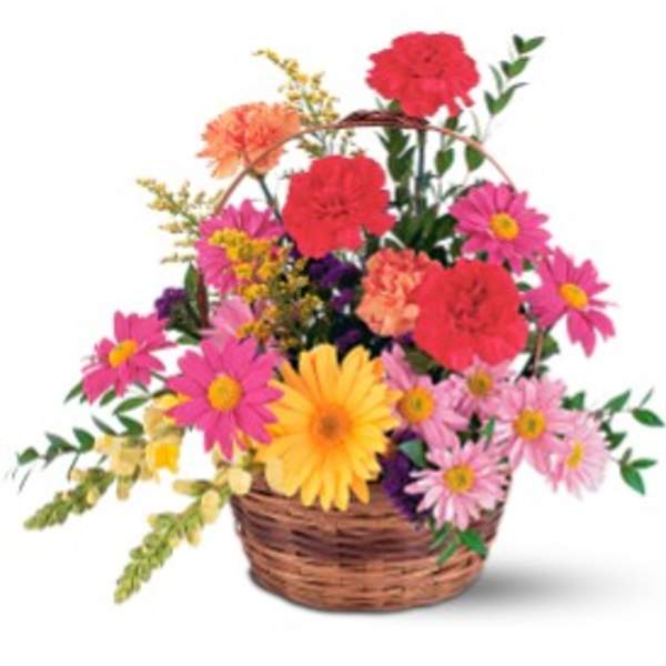Wicker basket of bright pink carnations and mixed yellow and pink daisies