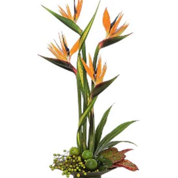 Tall tropical orange blooms with long green leaves arranged in a low round bowl