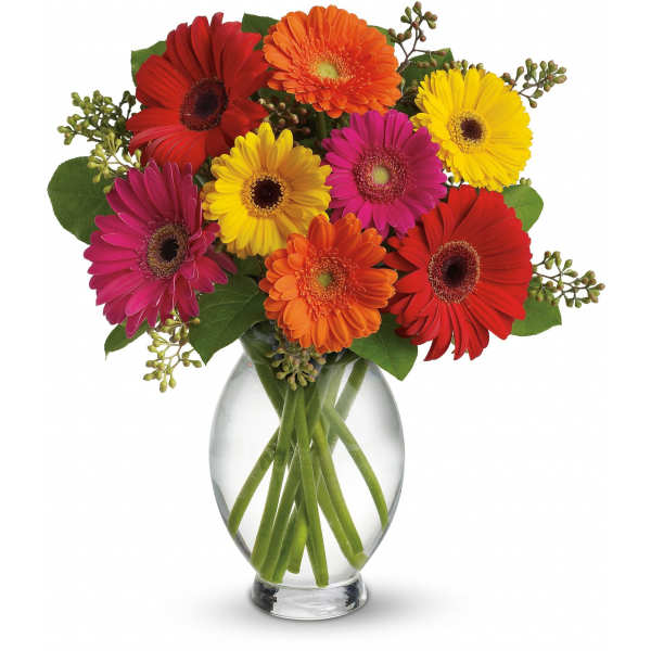 Bouquet of colorful gerbera daisies in a clear glass vase