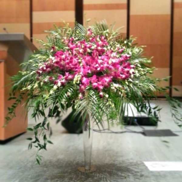 Large pink orchid arrangement with cascading greenery on a clear pedestal stand indoors
