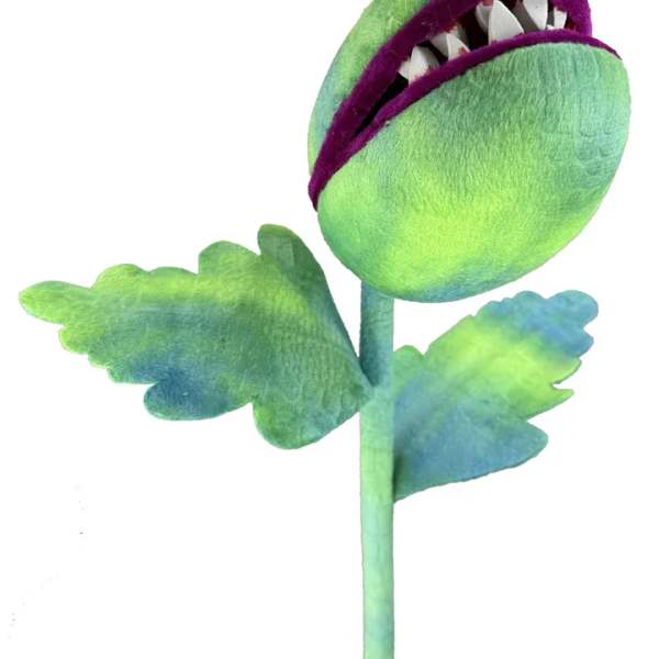 Plush green and purple carnivorous flower with a stem