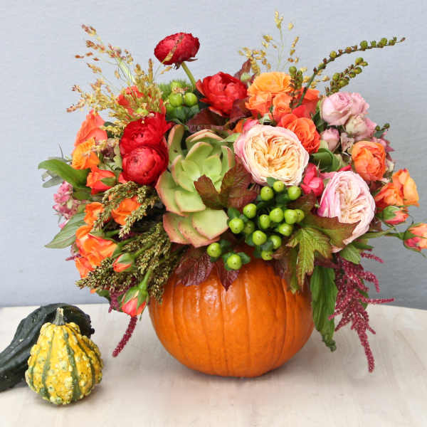 Autumn flower arrangement in a hollow pumpkin with orange and pink blooms, green succulent, and berries