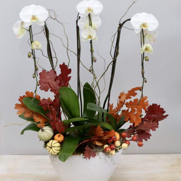 Tall white orchid planter with autumn leaves and small decorative gourds in a white pot