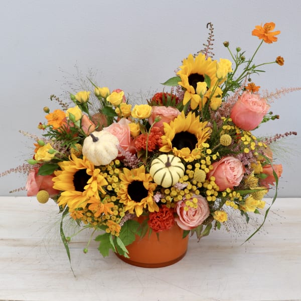 Low orange pot arrangement with sunflowers, peach roses, yellow blooms and small white pumpkins.