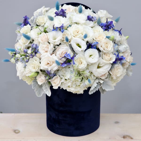 Round arrangement of white and cream flowers with blue accents in a tall navy velvet box