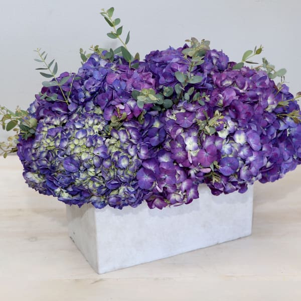 Low arrangement of purple hydrangeas in a rectangular white box vase