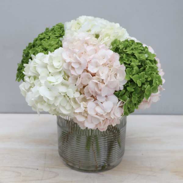 Compact arrangement of white, pale pink, and green hydrangeas in a clear ribbed glass vase