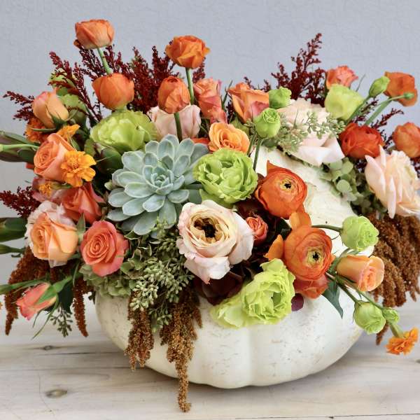 Low pumpkin arrangement with orange and peach roses, ranunculus, green flowers, and a central succulent